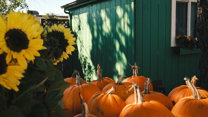 Photo harvest festival